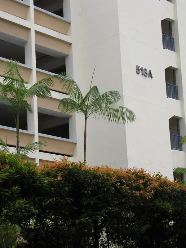 518A Jelapang Road #0