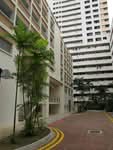 518A Jelapang Road #0