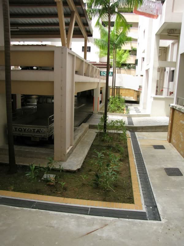 521A Jelapang Road #0