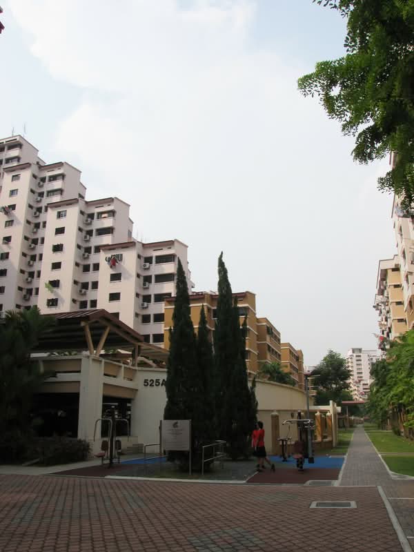 525A Jelapang Road #0