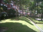 Green Acre #0