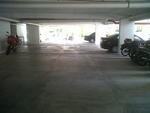 Green Acre #0