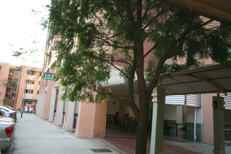 103 Jurong East Street 13