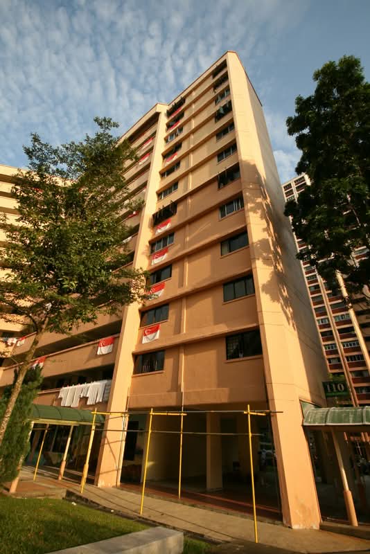 110 Jurong East Street 13