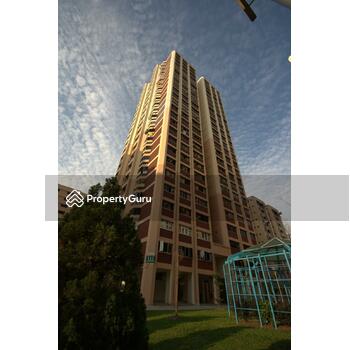 111 Jurong East Street 13