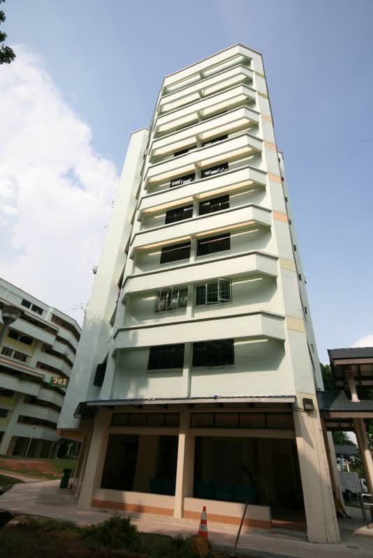 203 Jurong East Street 21
