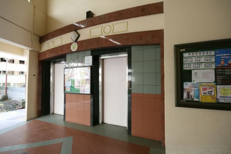 207 Jurong East Street 21