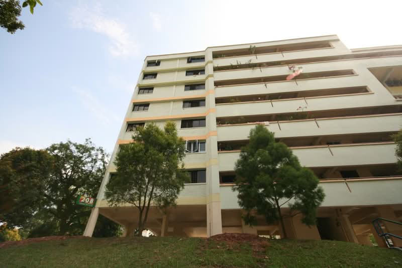 208 Jurong East Street 21