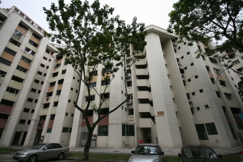 211 Jurong East Street 21