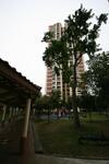 212 Jurong East Street 21 #0