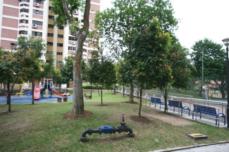 212 Jurong East Street 21