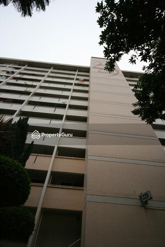 229 Jurong East Street 21 #0