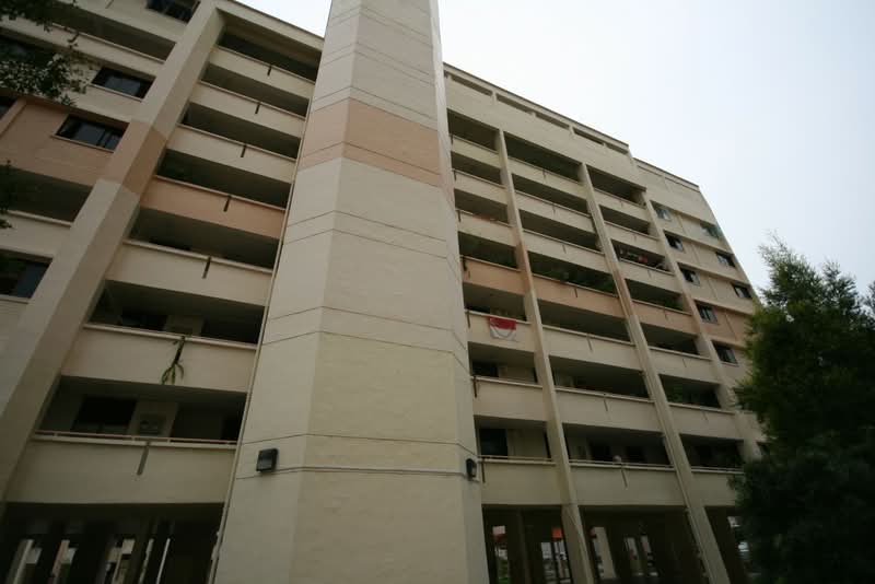 233 Jurong East Street 21