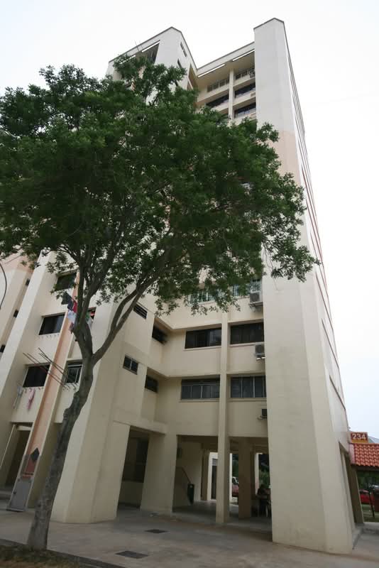 234 Jurong East Street 21