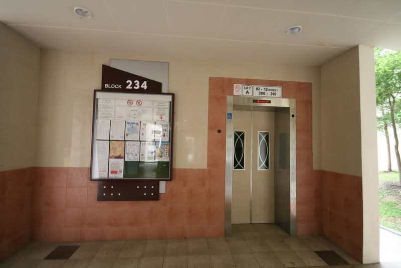 234 Jurong East Street 21