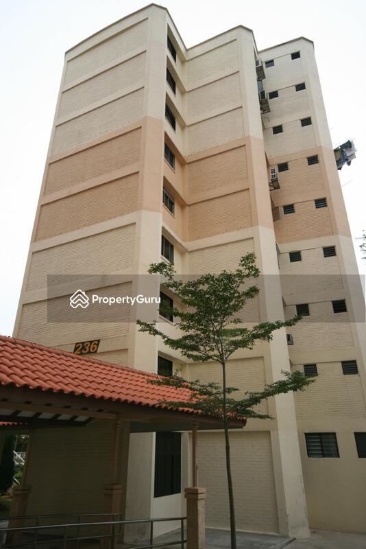 236 Jurong East Street 21 #0