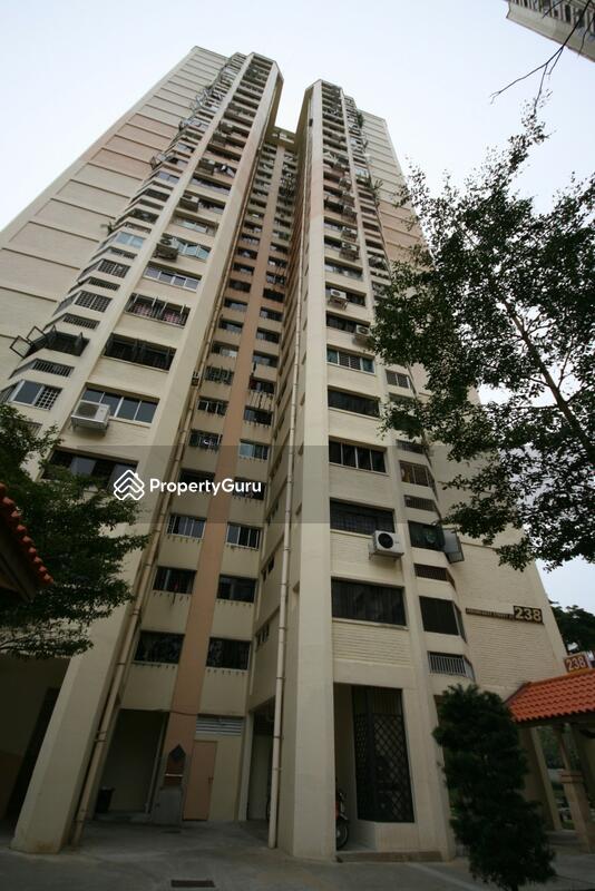 238 Jurong East Street 21 #0