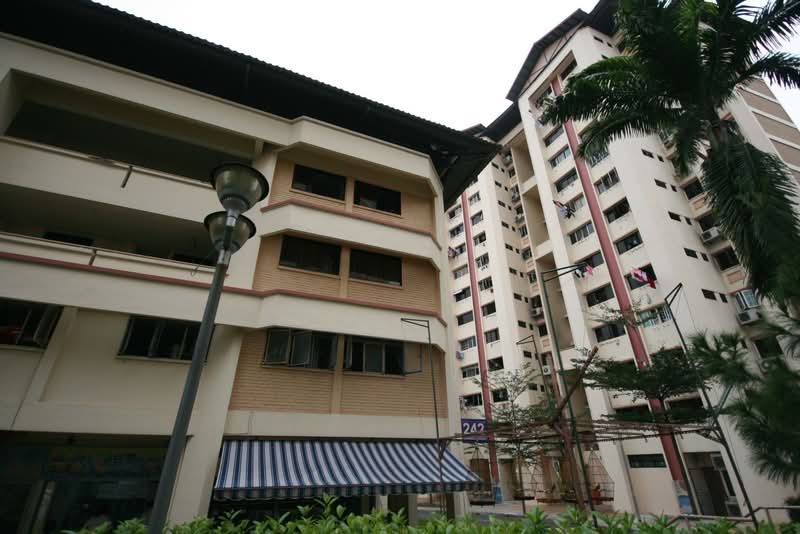 242 Jurong East Street 24