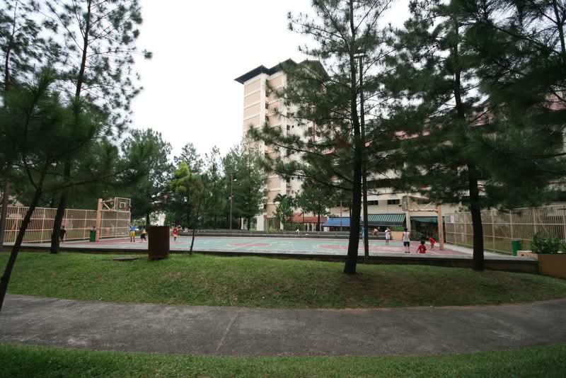 244 Jurong East Street 24