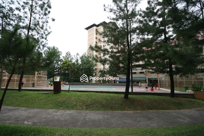 For Rent - 244 Jurong East Street 24