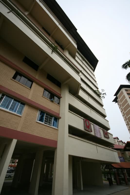245 Jurong East Street 24