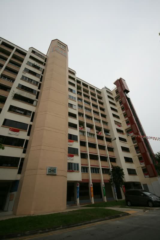 246 Jurong East Street 24