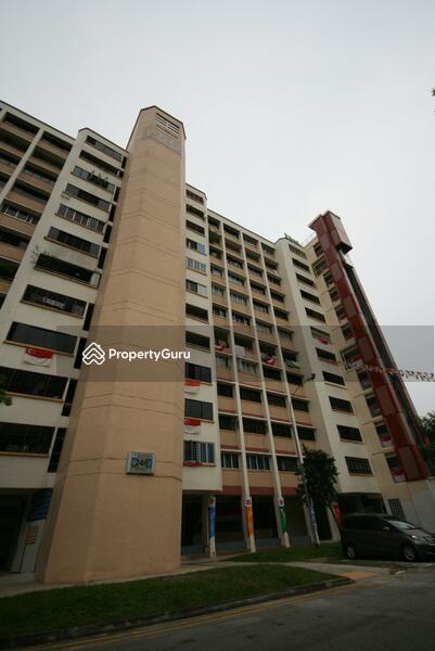 For Sale - 246 Jurong East Street 24