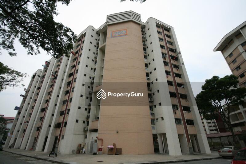 For Rent - 250 Jurong East Street 24