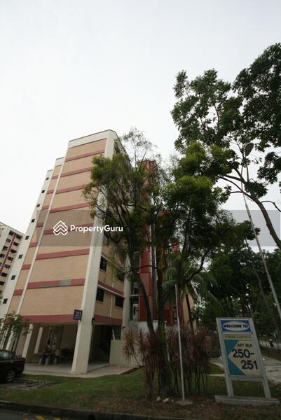 For Rent - 251 Jurong East Street 24