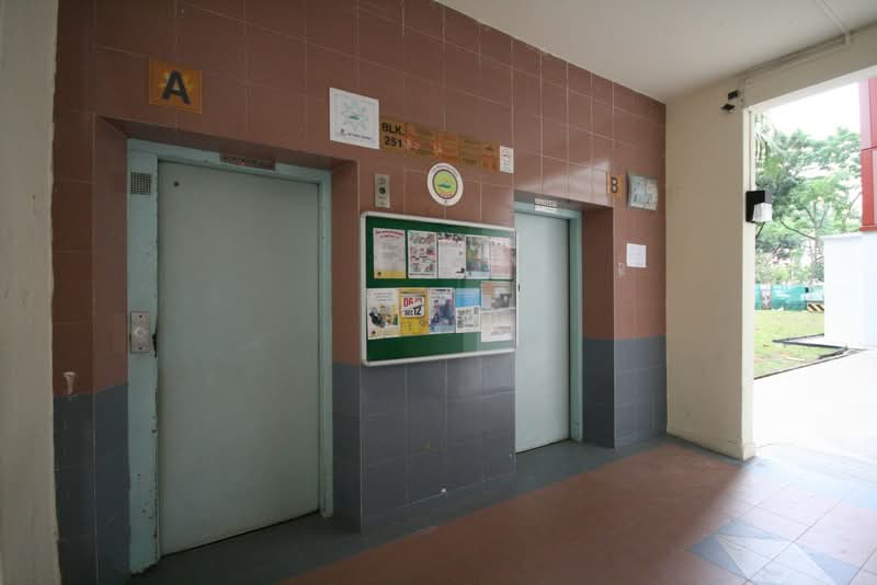 251 Jurong East Street 24