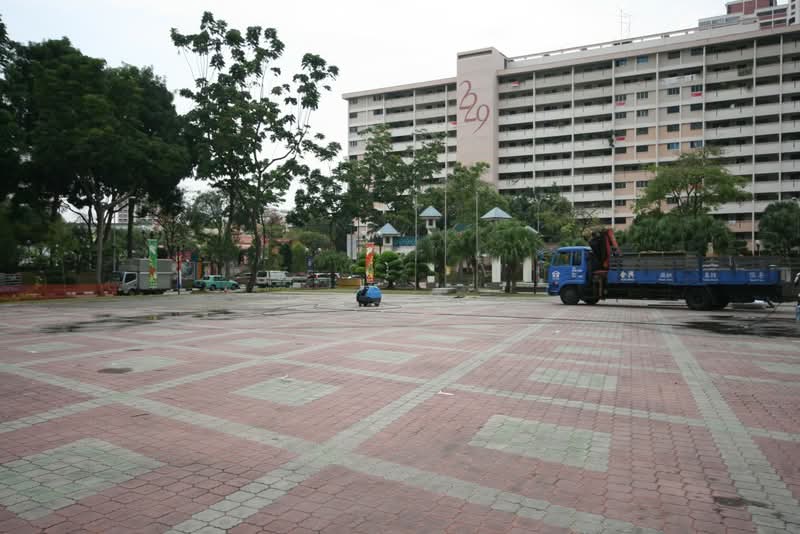 252 Jurong East Street 24