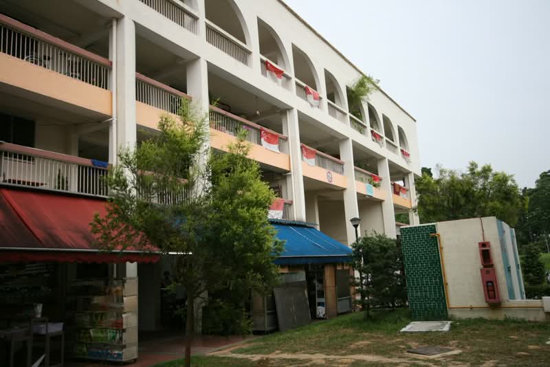 253 Jurong East Street 24