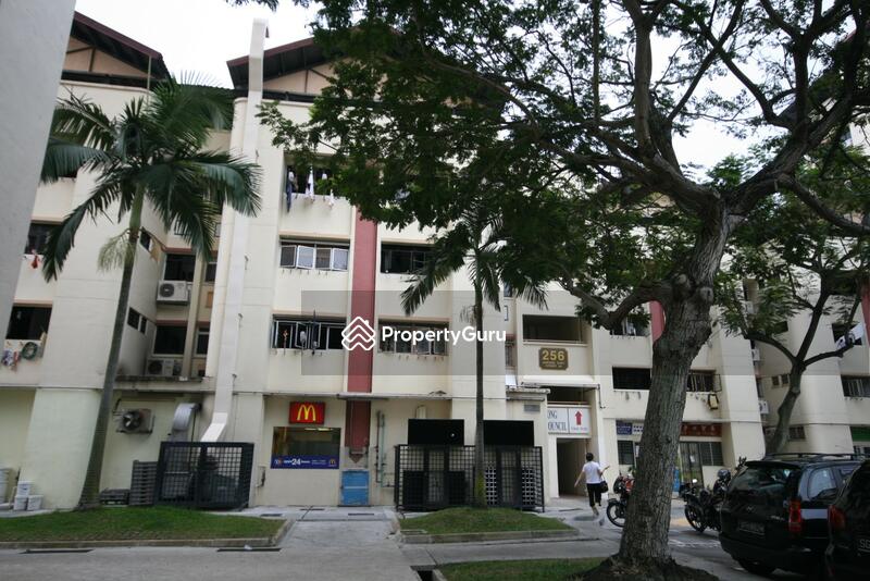 256 Jurong East Street 24 #0