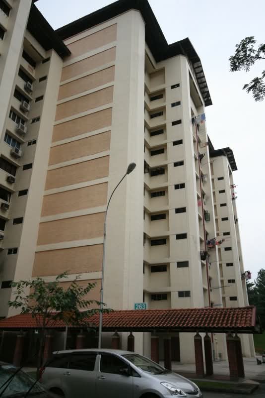 263 Jurong East Street 24