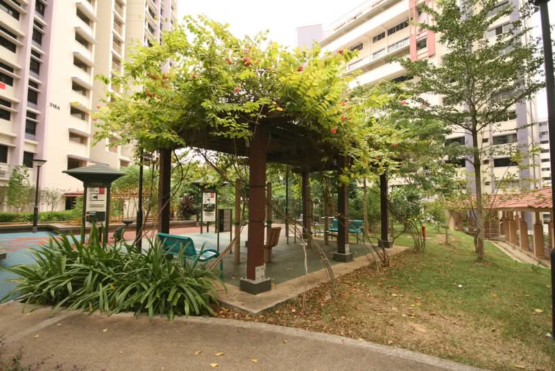 317 Jurong East Street 31