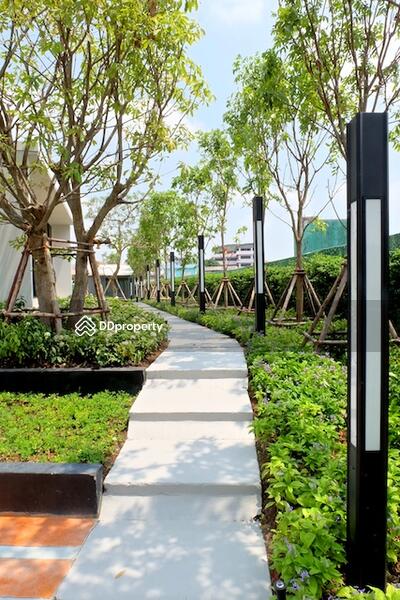 For Sale - The Connect UP 3 Ladprao 126, Bangkok