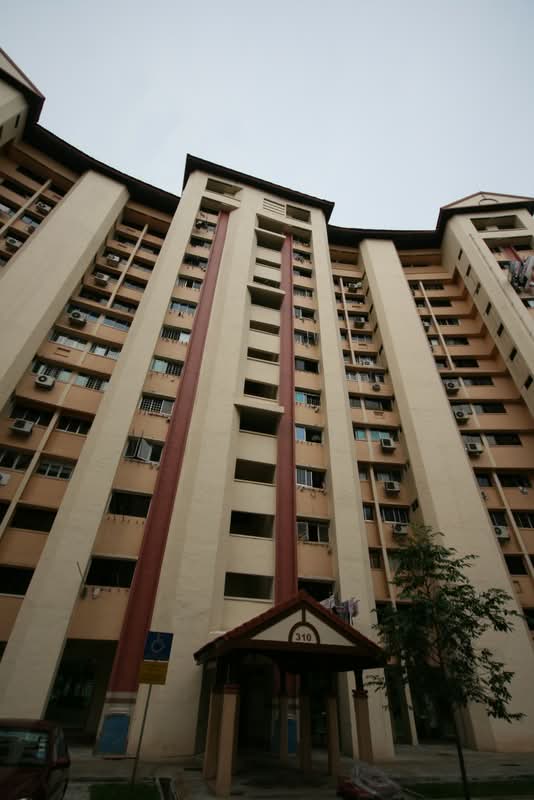 310 Jurong East Street 32