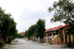Damai Murni #0