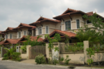 Damai Murni #0
