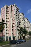 466 Jurong West Street 41 #0