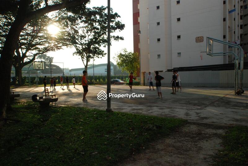 545 Jurong West Street 42 #0