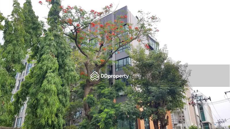 For Rent - The Collect Ratchada 32, Bangkok
