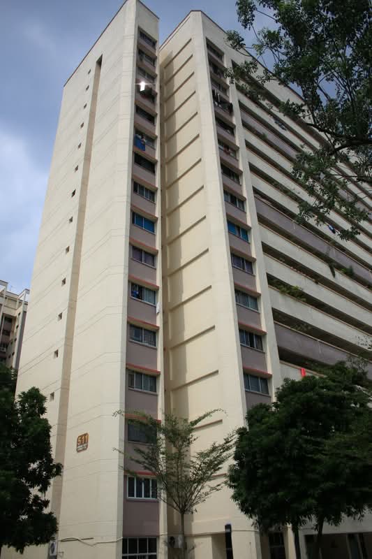511 Jurong West Street 52