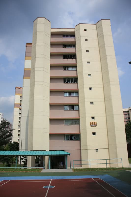 513 Jurong West Street 52