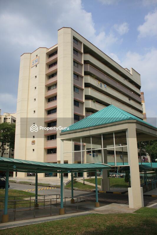 514 Jurong West Street 52 #0