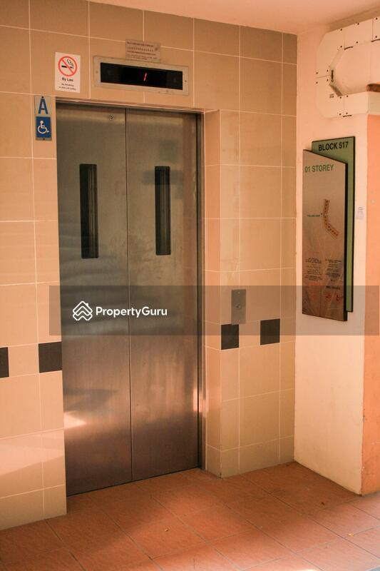 517 Jurong West Street 52 #0