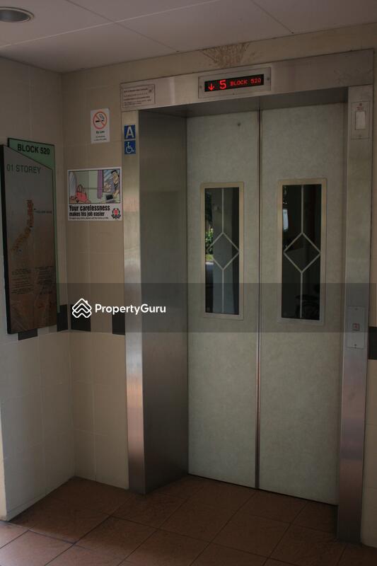 520 Jurong West Street 52 #0