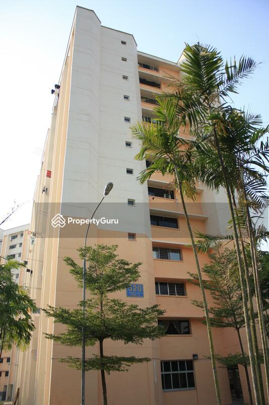 520 Jurong West Street 52 #0