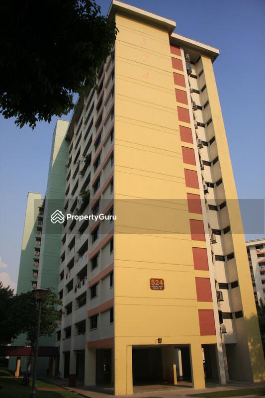 524 Jurong West Street 52 #0