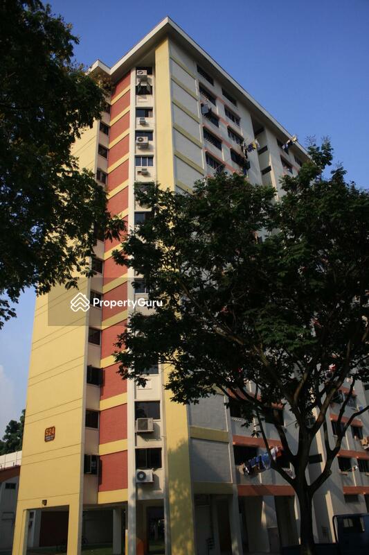 524 Jurong West Street 52 #0
